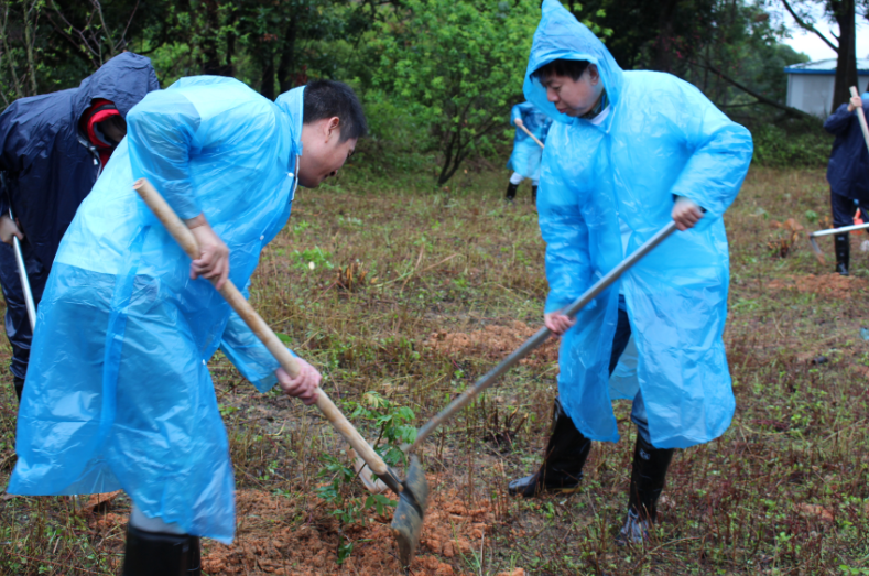 集團(tuán)組織開展“我與小樹同成長”植樹節(jié)活動(dòng)-