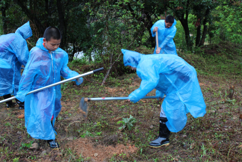 集團(tuán)組織開展“我與小樹同成長”植樹節(jié)活動(dòng)-