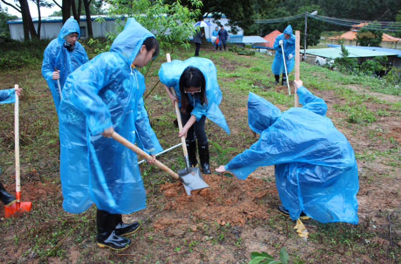 集團(tuán)組織開展“我與小樹同成長”植樹節(jié)活動(dòng)-